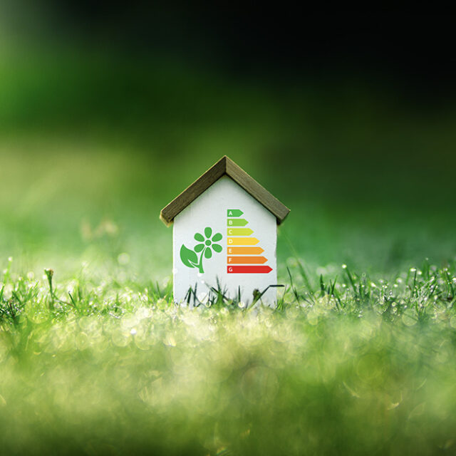 shutterstock_2617040463